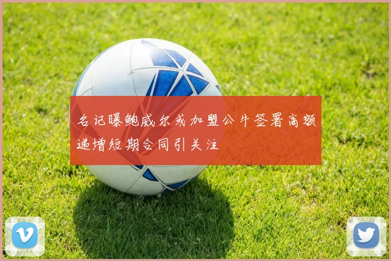 名记曝鲍威尔或加盟公牛签署高额递增短期合同引关注